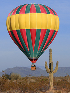 Floating low over a giant Saguaro cactus - a regular sight on any given hot air balloon flight in Phoenix, Arizona!