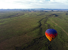 Springtime in the Sonoran Desert makes for a very green view!