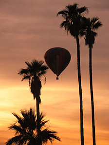 Palm trees and one of our balloons silhouetted against yet another stunning sunset!